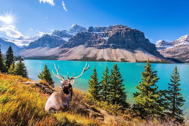 Rocky Mountain National Park Self-Guided Driving Audio Tour