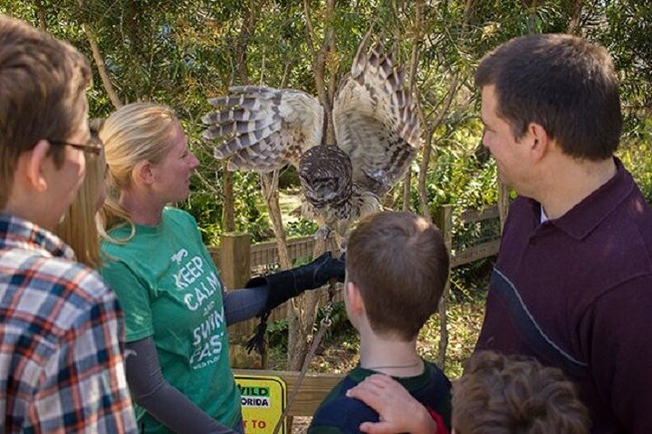 Florida Everglades Airboat Tour and Wild Florida Admission with Optional Lunch