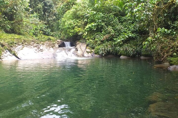 Private Tour in the Amazon Jungle with a visit to Caverns and Lunch