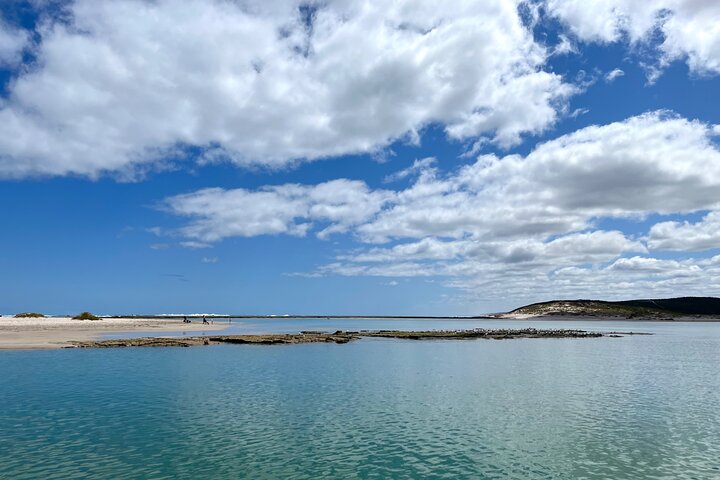 Morning Cruise on the Murchison River in Kalbarri (April to Nov)