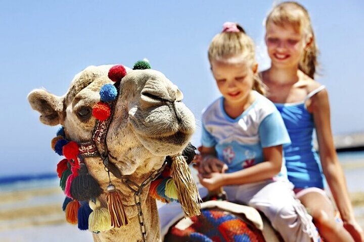 luxury 4 Hour Private Tour of Tangier
