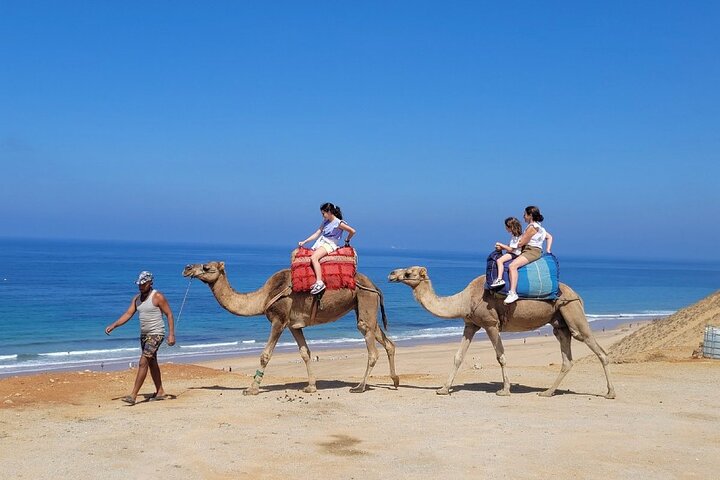 luxury 4 Hour Private Tour of Tangier