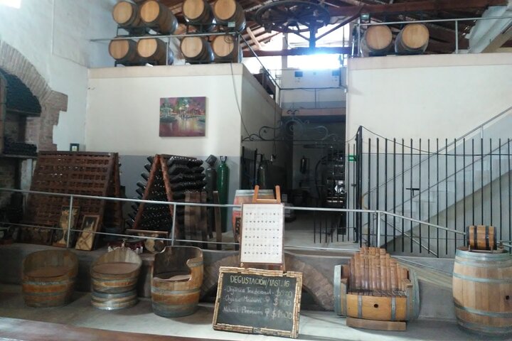 Excursión de 3 bodegas y 1 olivícola con degustación