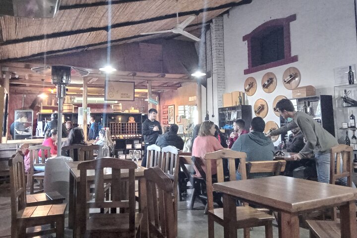 Excursión de 3 bodegas y 1 olivícola con degustación