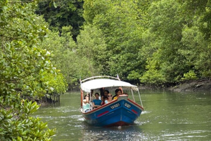 Combo - Cable Car & Sky Bridge And Tg. Rhu Mangrove Private Boat Tour With Lunch