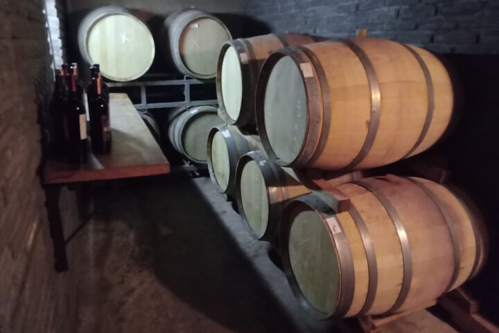 Excursión de 3 bodegas y 1 olivícola con degustación