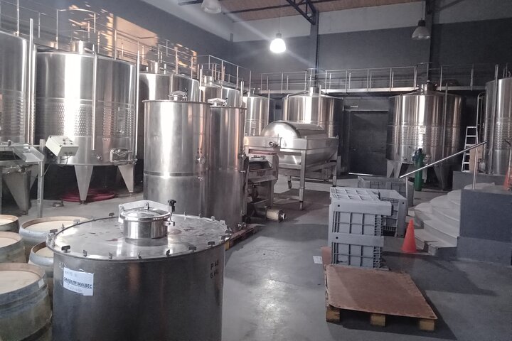 Excursión de 3 bodegas y 1 olivícola con degustación