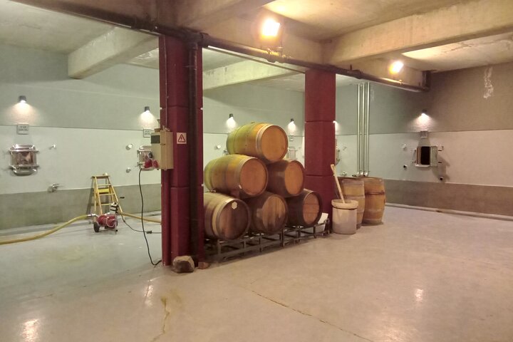 Excursión de 3 bodegas y 1 olivícola con degustación