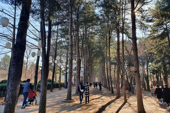 Private Tour : Nami Island & Arboretum & Rail Bike
