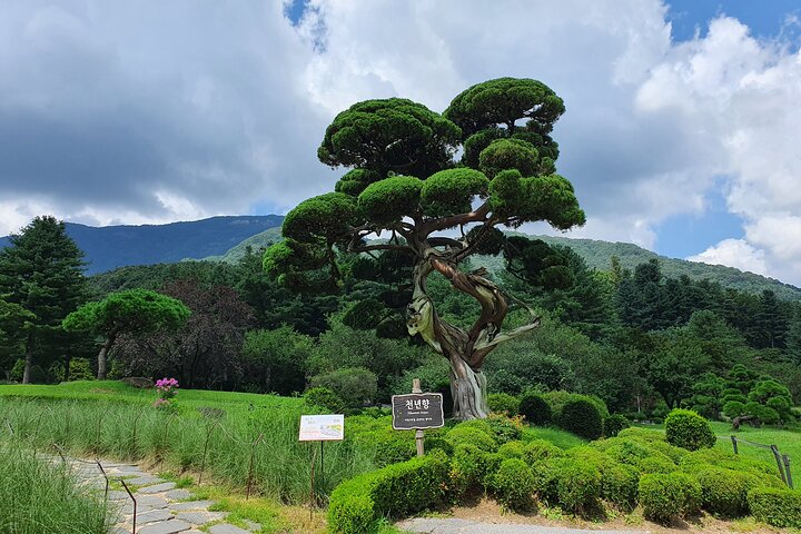 Private Tour : Nami Island & Arboretum & Rail Bike