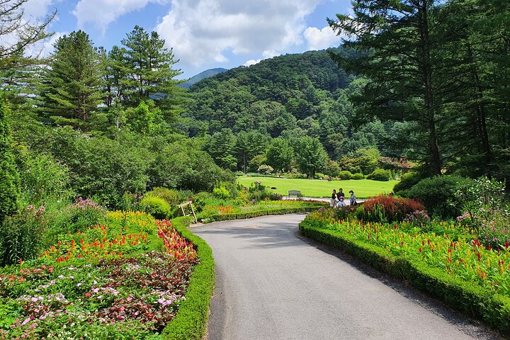 Private Tour : Nami Island & Arboretum & Rail Bike