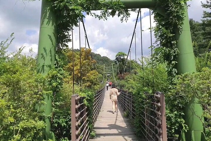 Private Tour : Nami Island & Arboretum & Rail Bike