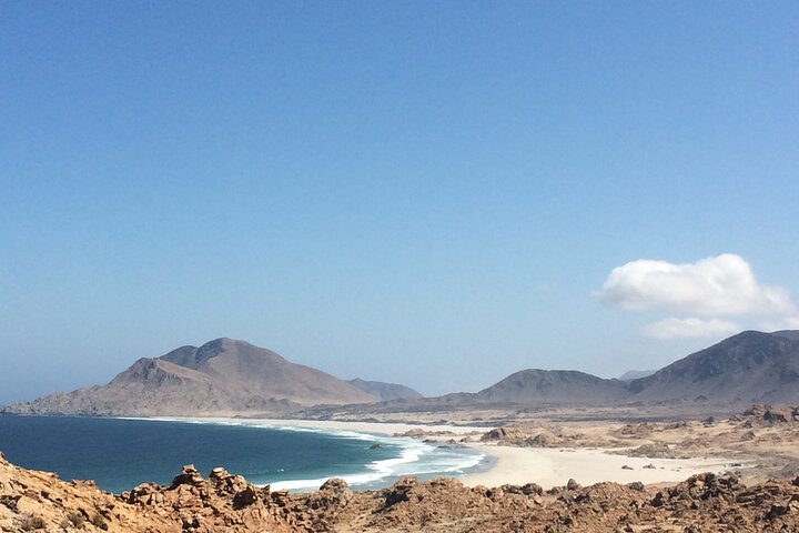 The Challe National Parks from La Serena – Pan de Azucar & Llanos