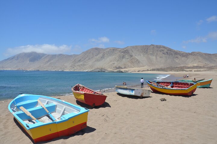 The Challe National Parks from La Serena – Pan de Azucar & Llanos