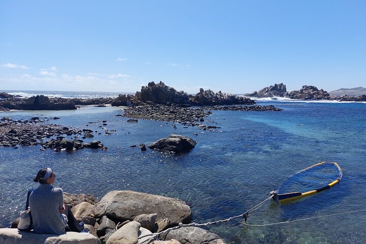 The Challe National Parks from La Serena – Pan de Azucar & Llanos