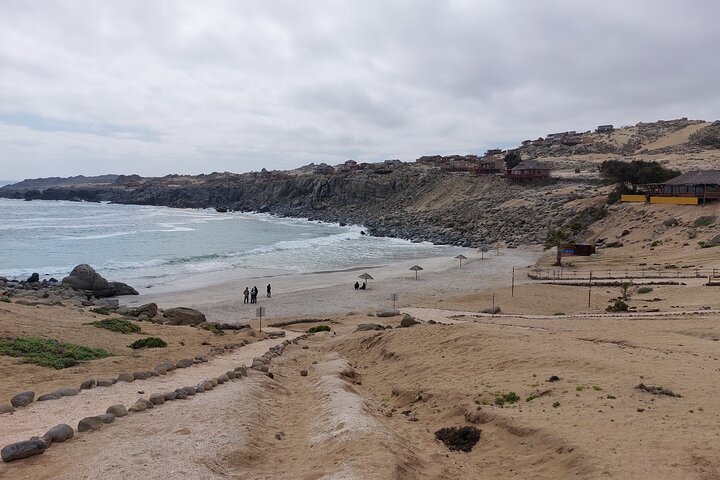 The Challe National Parks from La Serena – Pan de Azucar & Llanos