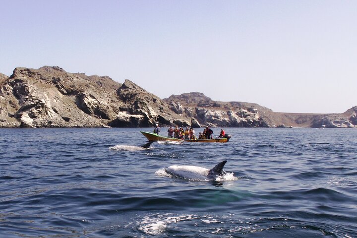 Hiking Ladies Island/Sailing 3 Islands Humboldt Penguin Reserve