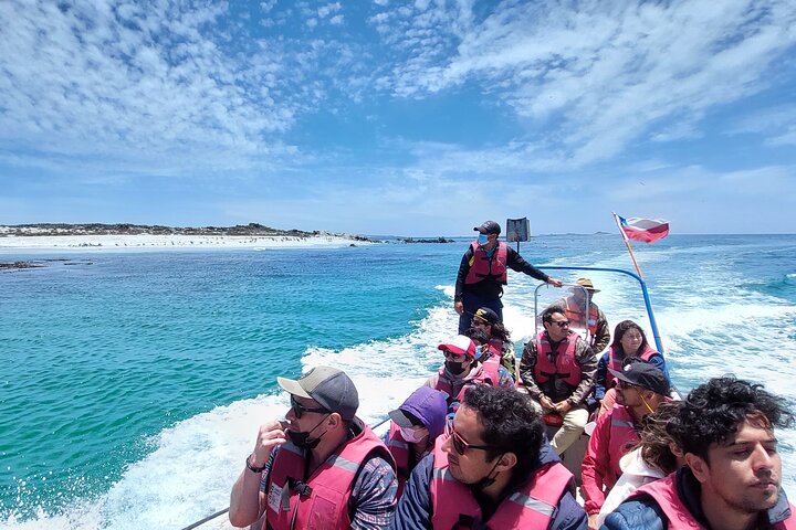 Hiking Ladies Island/Sailing 3 Islands Humboldt Penguin Reserve