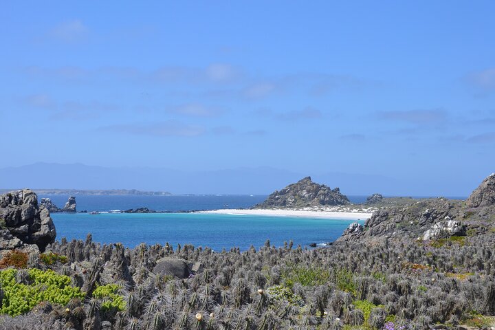 Hiking Ladies Island/Sailing 3 Islands Humboldt Penguin Reserve
