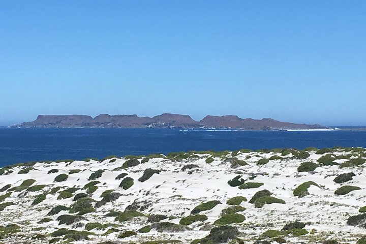 Hiking Ladies Island/Sailing 3 Islands Humboldt Penguin Reserve