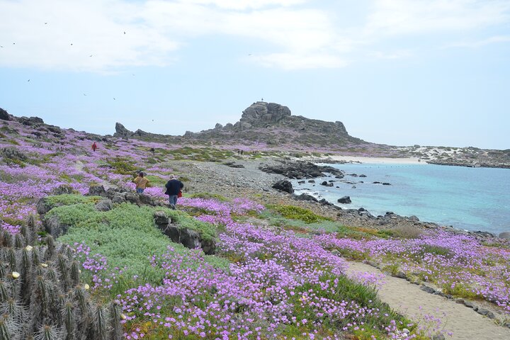 Hiking Ladies Island/Sailing 3 Islands Humboldt Penguin Reserve