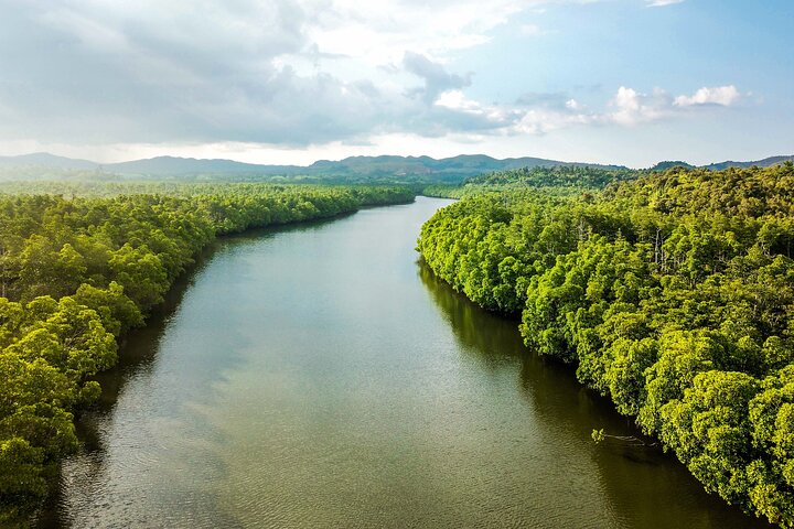 Bohol Countryside Tour: Chocolate Hills, Tarsier and Loboc River