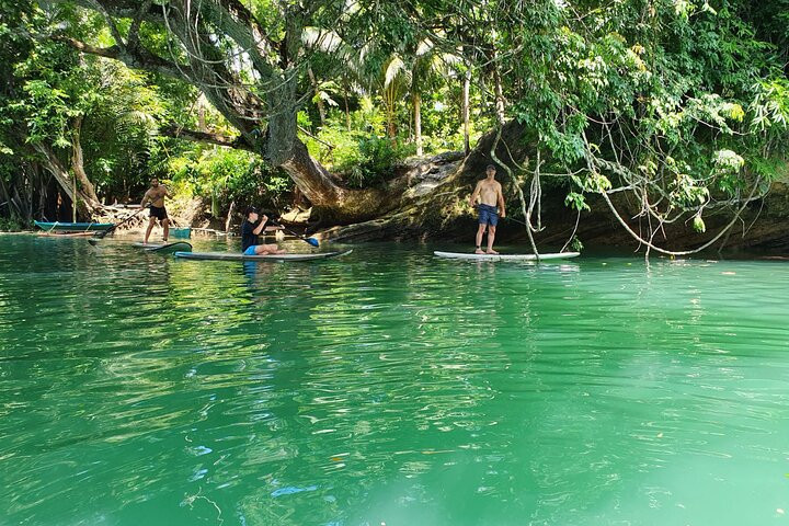 Bohol Countryside Tour: Chocolate Hills, Tarsier and Loboc River