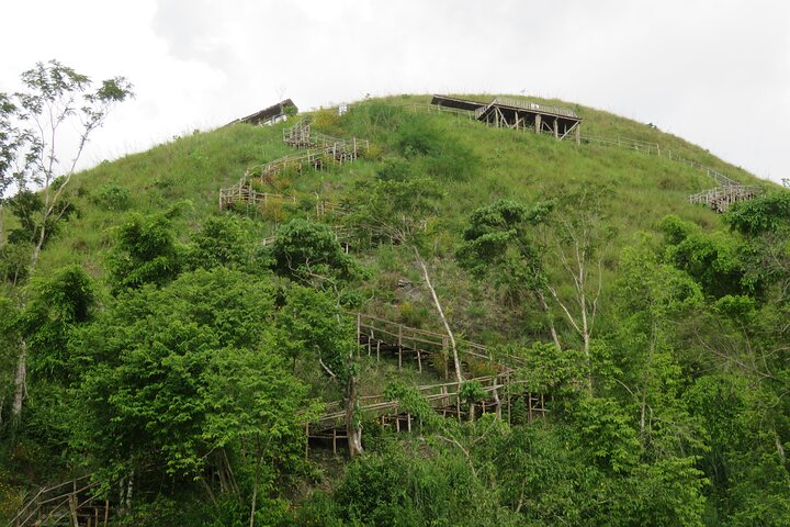 Bohol Countryside Tour: Chocolate Hills, Tarsier and Loboc River