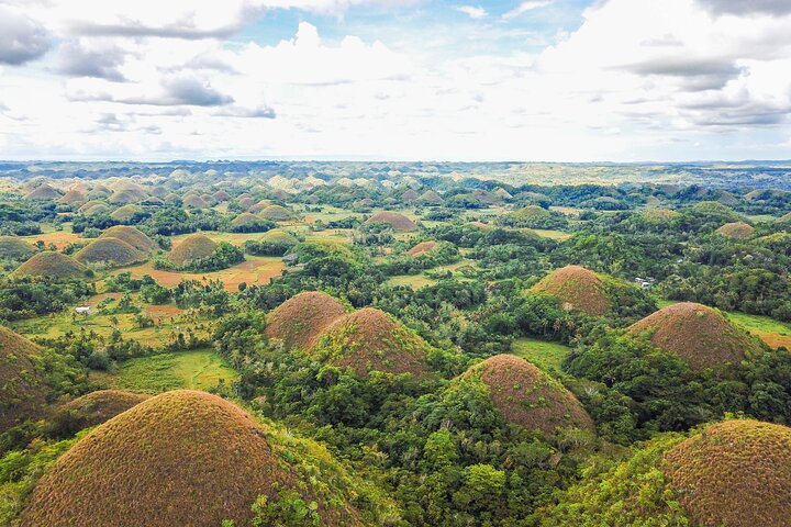 Bohol Countryside Tour: Chocolate Hills, Tarsier and Loboc River