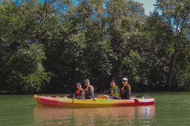 Mangrove Kayaking Adventure in Singapore