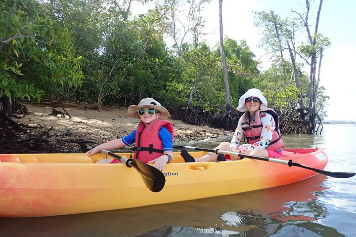 Mangrove Kayaking Adventure in Singapore