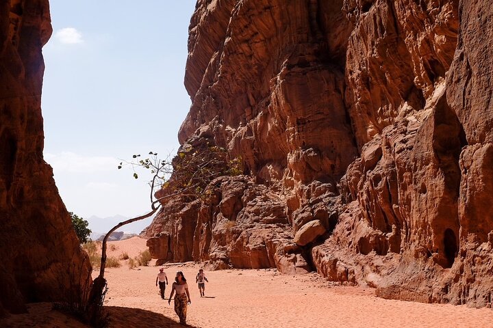 Full Day Jeep Tour in Wadi Rum (incl. Bedouin picnic lunch)