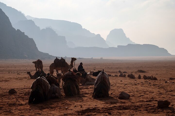 Full Day Jeep Tour in Wadi Rum (incl. Bedouin picnic lunch)