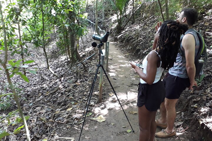 Private Nature Adventure Tour in Curu Wildlife Refuge