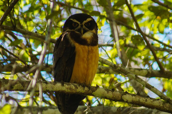 Private Nature Adventure Tour in Curu Wildlife Refuge