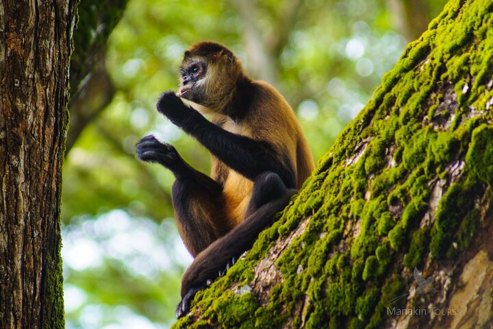 Private Nature Adventure Tour in Curu Wildlife Refuge
