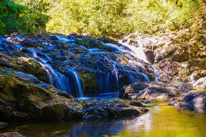 Private Nature Adventure Tour in Curu Wildlife Refuge