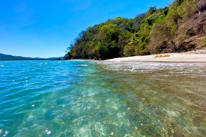 Private Nature Adventure Tour in Curu Wildlife Refuge