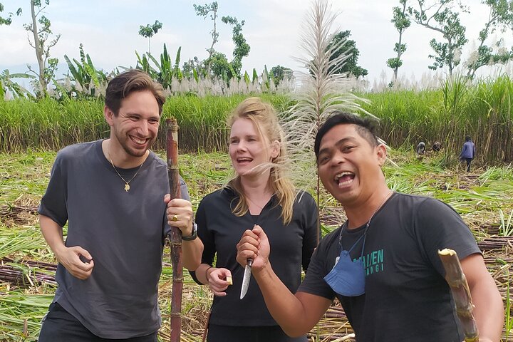 Selogriyo Temple and Trekking Java Rice Terraces, hidden waterfall -Nature Java