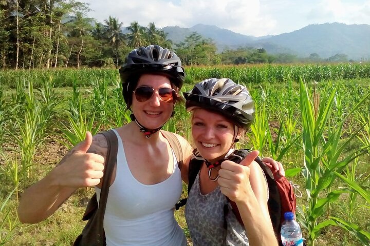Selogriyo Temple and Trekking Java Rice Terraces, hidden waterfall -Nature Java