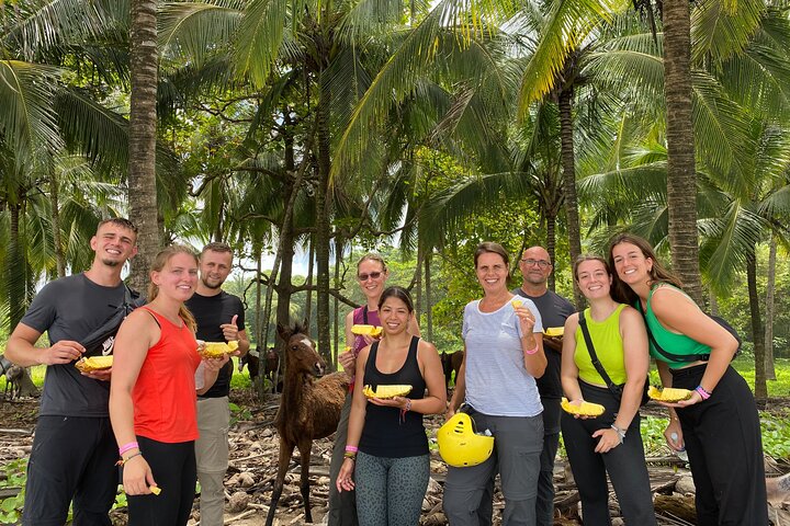 Jungle and Beach Horseback Riding Tour - 2H 1/2