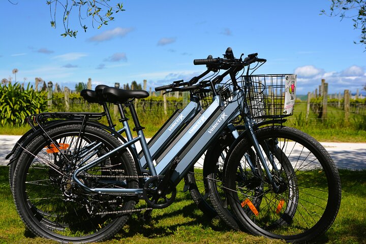 Hawkes Bay Wineries Self-Guided Electric Bike Tour