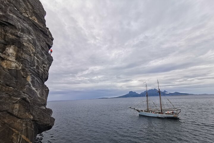 Viking wall