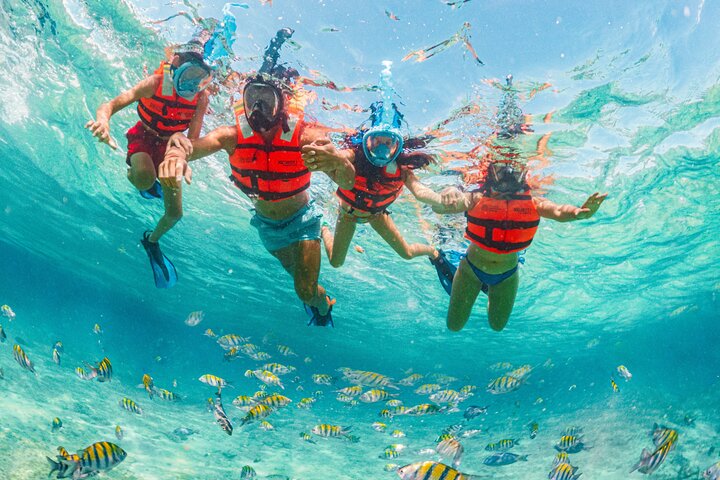 Xcaret Park Day Trip, transportation and Cultural Night Show