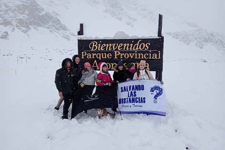 Tour Alta Montaña Mendoza