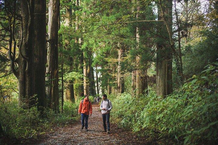 Custom Private Tour in Hakone with a Certified Local Guide