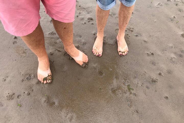 Pilgrims' Path walk across the sands to Holy Island