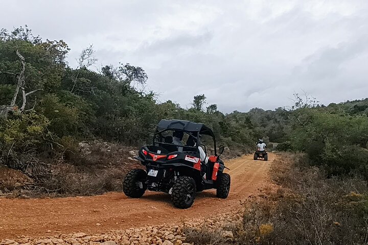 Buggy Expedition - Half-Day Off-Road Guided Tour from Albufeira