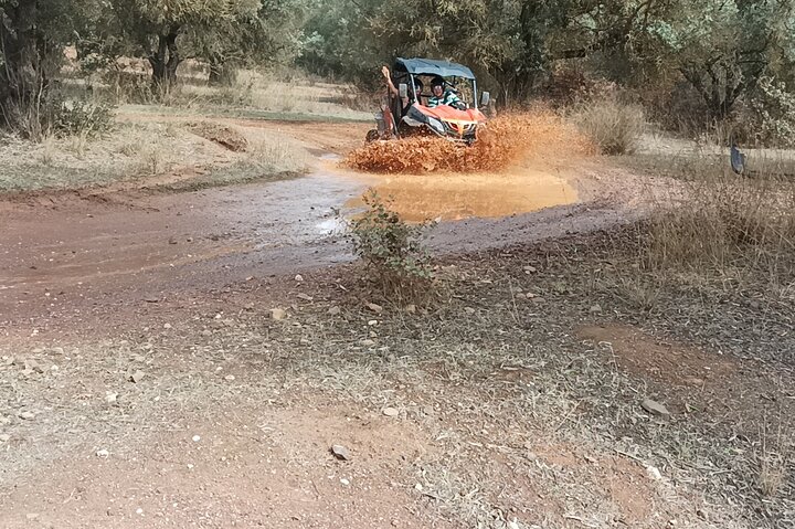 Buggy Expedition - Half-Day Off-Road Guided Tour from Albufeira