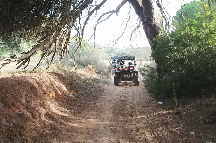 Buggy Expedition - Half-Day Off-Road Guided Tour from Albufeira